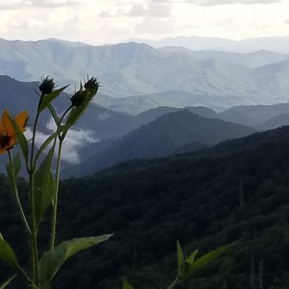 Meet your Posher, Jackie - Picture 4 of 10